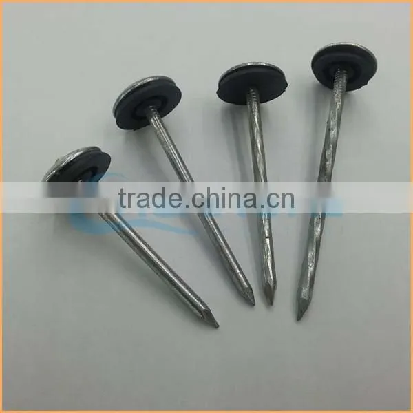Top Quality Galvanized Umbrella Roofing Nails to Tanzania Trusted Chuanghe Suppliers From Com photo-2