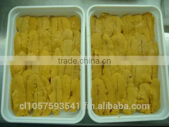 UNI Sea Urchin photo-6