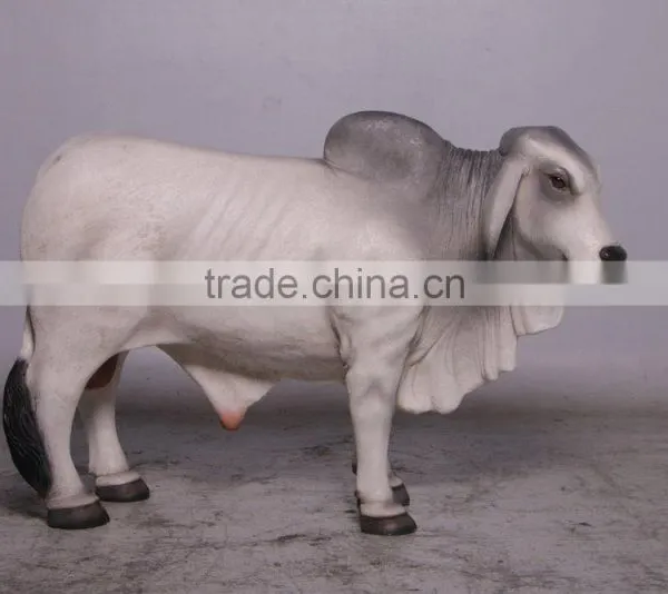 Definitive Brahman Looking Right