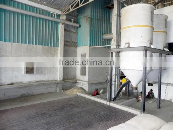 Glycine Max for Human Cosumption photo-3