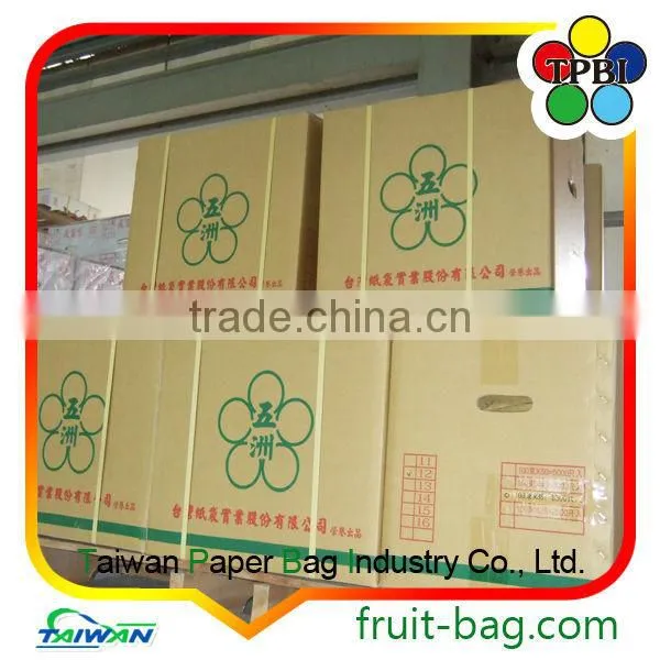 Brown Kraft Paper Bag Pineapple Protection Paper Bag Brown Pineapple Growing Paper Bag photo-2