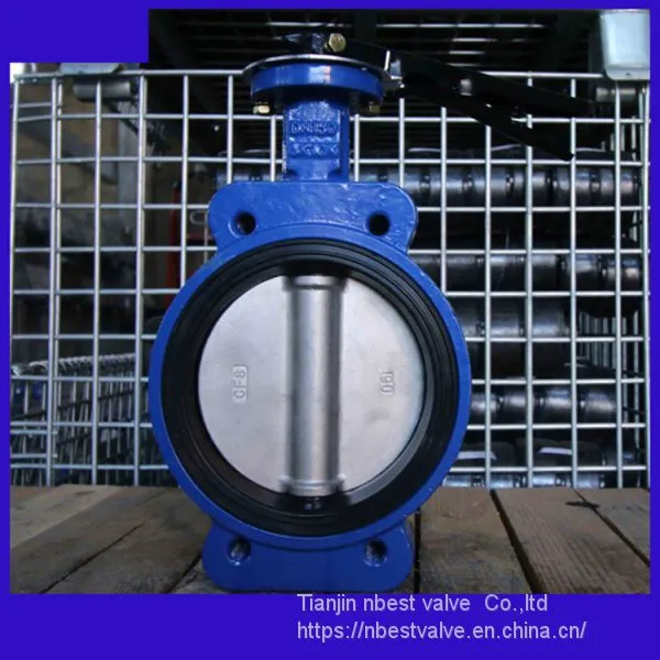 DN100 Marine Wafer Butterfly Valve With NPT Thread photo-4