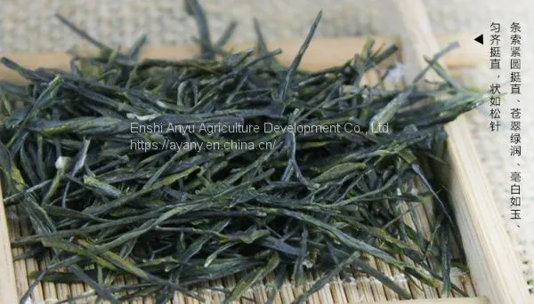 500 g Gift Box of Enshi Yulu Green TeaSuper Green Tea Enshi Yulu Tea photo-3