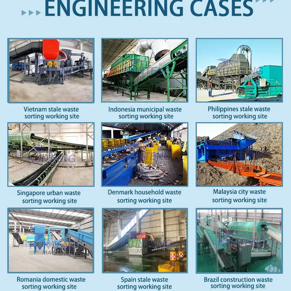 Coal Fired Biological Waste Incinerators Waste Treatment Machinery EPC photo-5