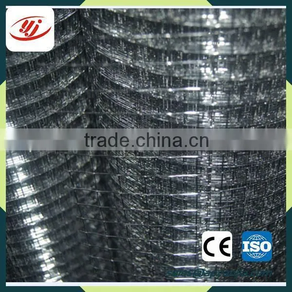 Welded Wire Mesh for School Best Quality Welded Wire Mesh Fence Panels in 12 Gauge photo-4