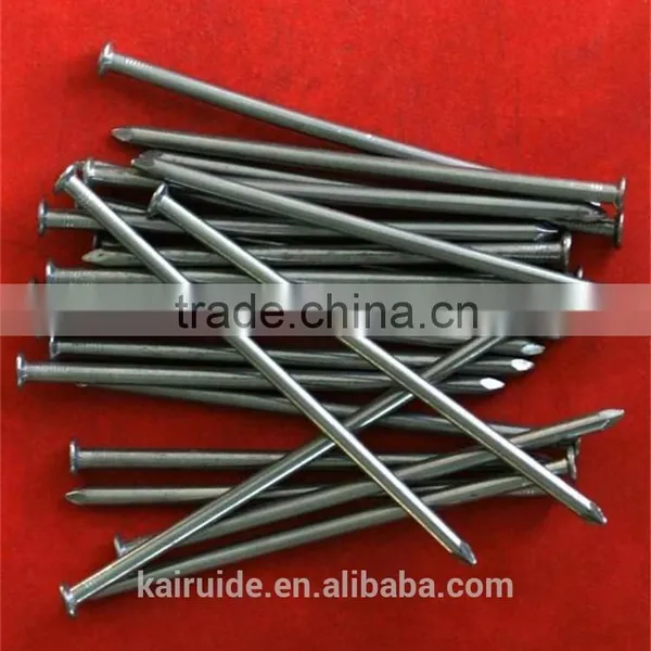 Common Nail/size of Common Nail/iron Nail Factory photo-6
