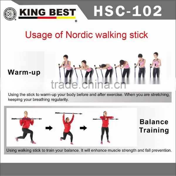 KING BEST Wholesale Carbon Trekking Pole 2-SECTION Hiking Pole Nordic Walking Stick photo-5