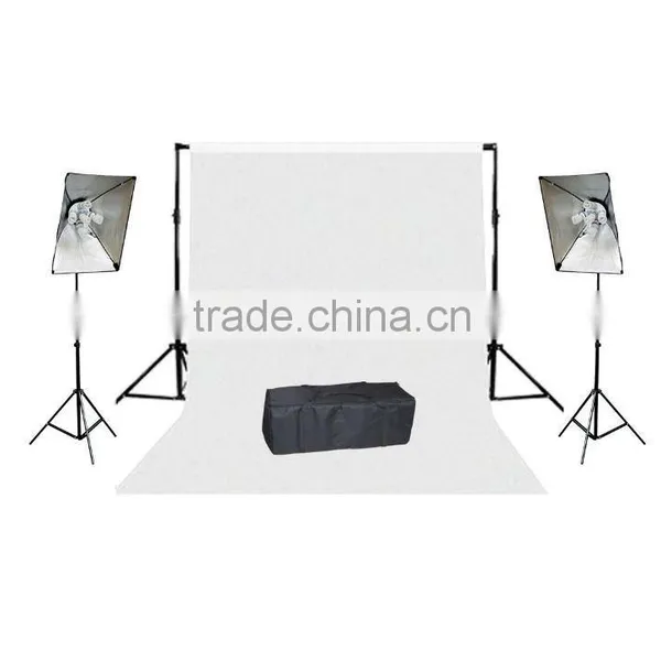 Continuous lighting kit with background support