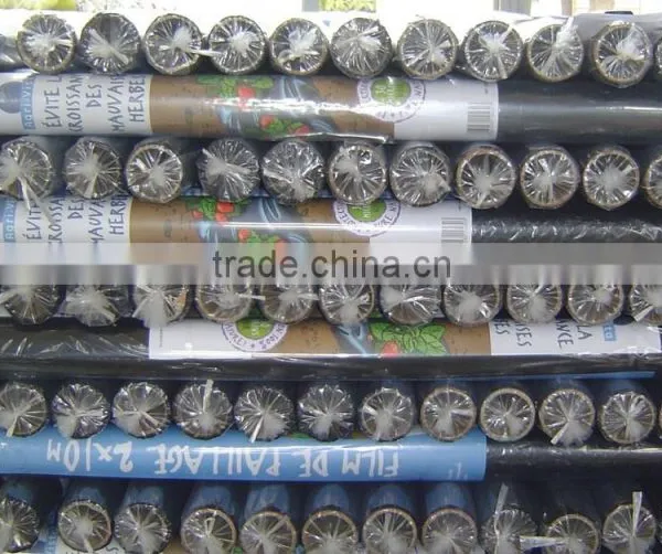 Big Width Perforated Plastic Film on Roll photo-5
