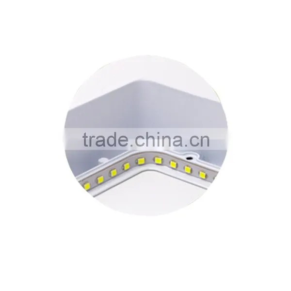 Side Plate Light photo-4