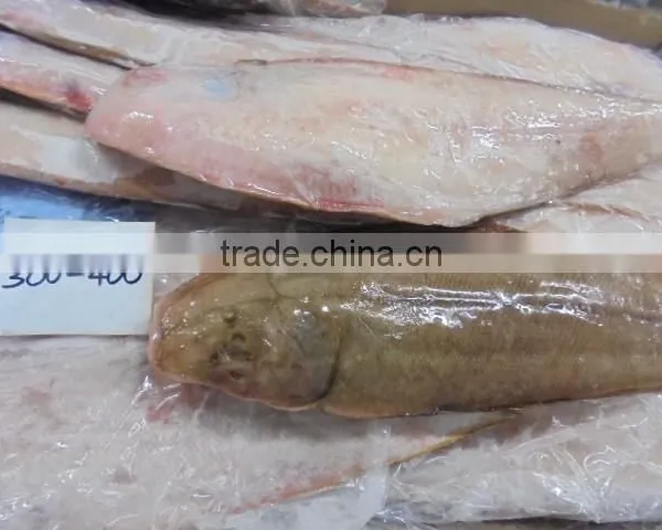 FROZEN SOLE FISH photo-5