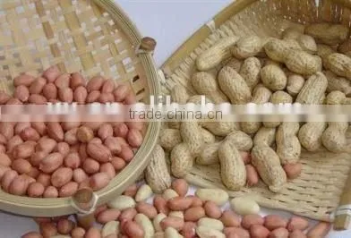 Roasted Salted Peanuts in Shell photo-2
