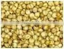 White Sorghum