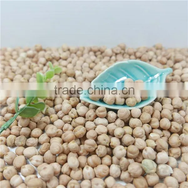 Good Manufacture of Chickpea Hot Sale photo-5