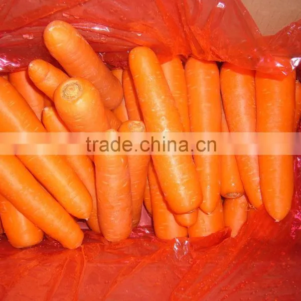 Fresh Carrot Shandong Crop 80-150g in 10kg Carton