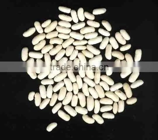 White Kidney Beans