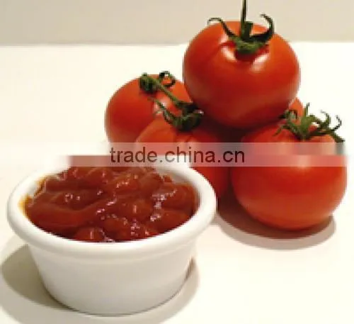Specification Fresh Tomato, Bulk Tomato Paste Tomato Sauce photo-3