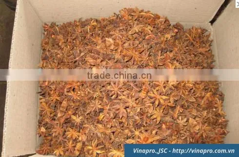 VIETNAM AUTUMN STAR ANISEED, HIGH QUALITY, BEST PRICE (+841657106604 - WHATSAPP) photo-3
