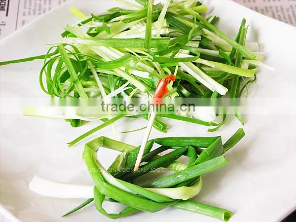 Home Use Vegetable Cutting Machine photo-5