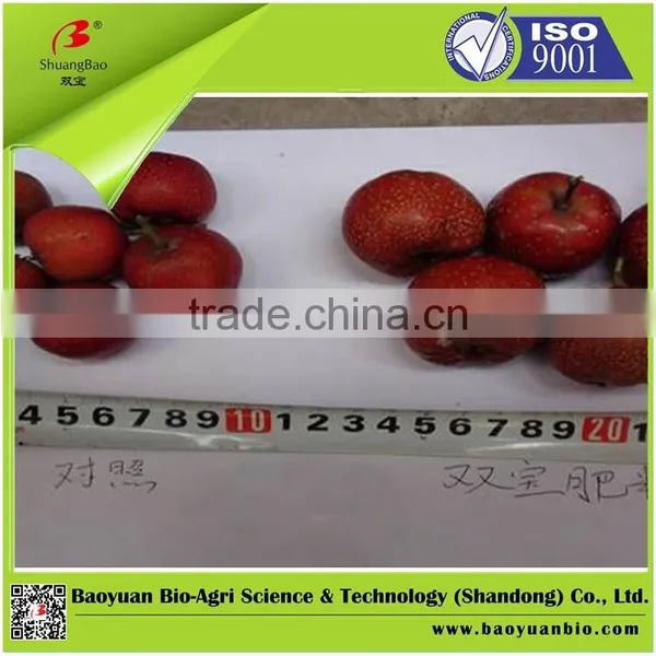 Pure Sulphate Potassium NPK Fertilizer 15-10-21 photo-2