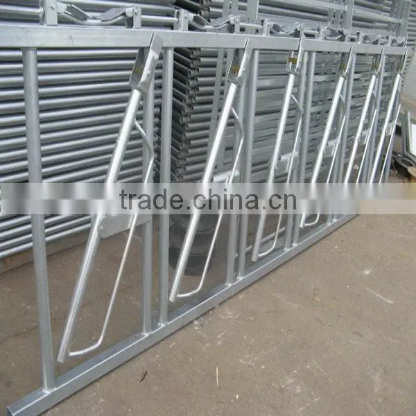 Cattle Headlock Cattle Feeder Head Locks photo-2