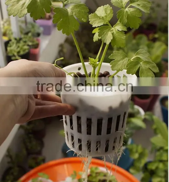 Food Grade Plastic 4" Plastic Net Pots Hydroponic Plant Pots for Green House photo-2