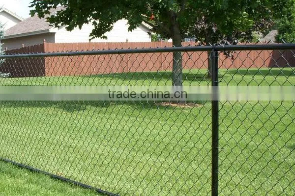 Automatic Chain Link Fence Machine (hot Sale) photo-5