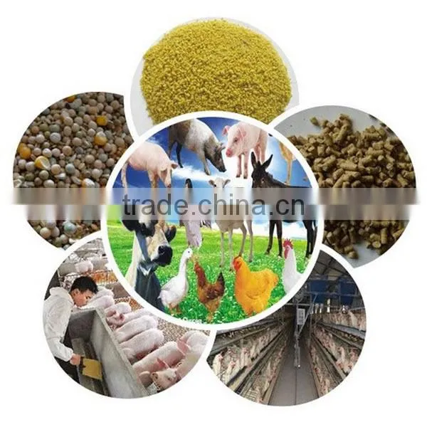 Rabbit Chicken Duck Small Animal Feed Pellet Machine photo-6