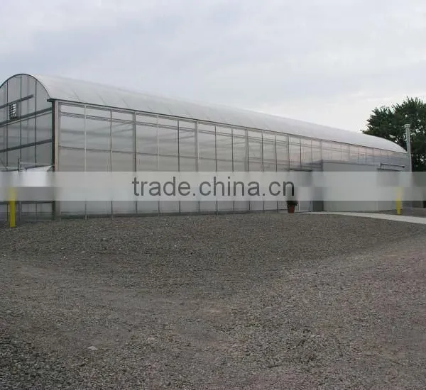 Agricultural Greenhouse Used Commercial Greenhouse photo-2