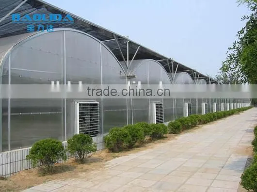 SiChuan BaoliDa Blackout Greenhouse PE Film Greenhouse