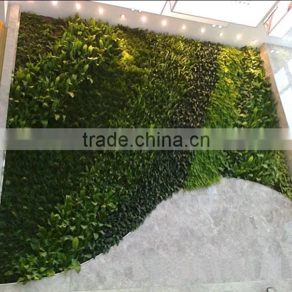 High Quality Eco-friendly Artificial Plant Wall, Foliage Green Wall, Indoor or Outdoor photo-6