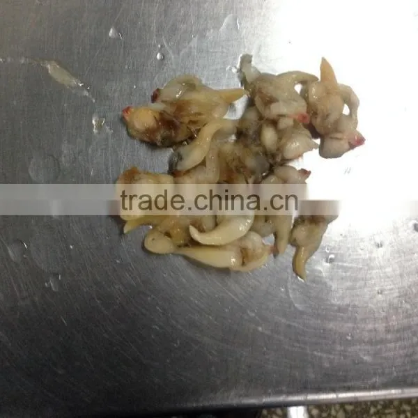IQF Surrf Clam/short Necked Clam Meat photo-4