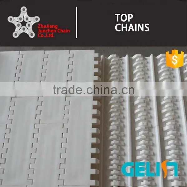 900Y-003 Series Plastic Packing Machine Flat Top Chain Scarp Conveyor Belt photo-4