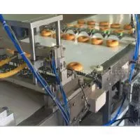 Filling Online Machine-yufeng