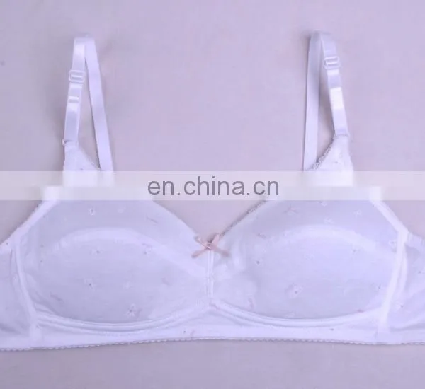 China Women Bra Cotton Underwired Plus Size Bra Push up Bra Fashion Bra photo-6