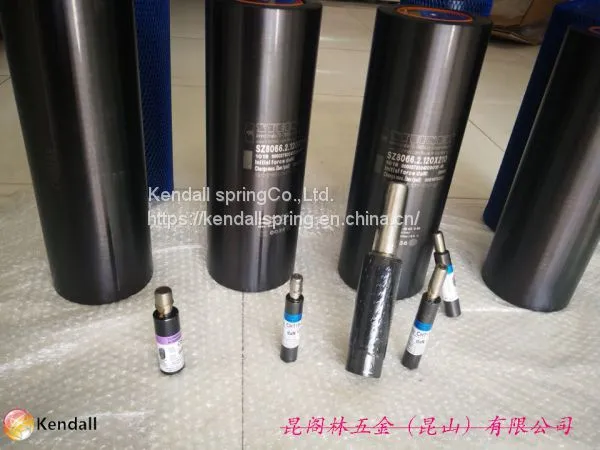 Gas Spring; Bordignon Gas Spring; Gas Spring photo-5