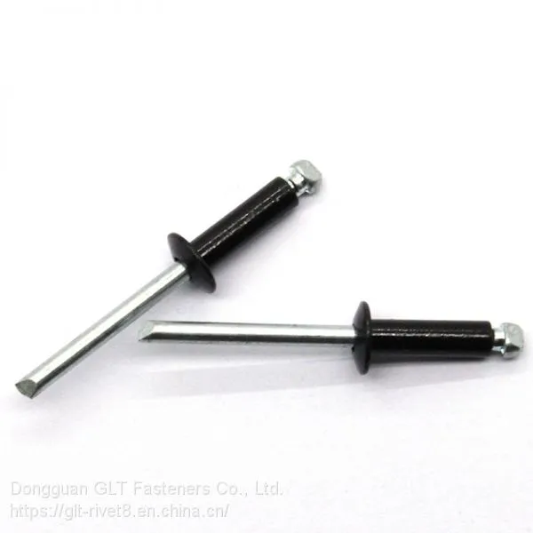 Painted Black Blind Rivets photo-3