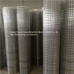 Galvanized Welded Wire Mesh
