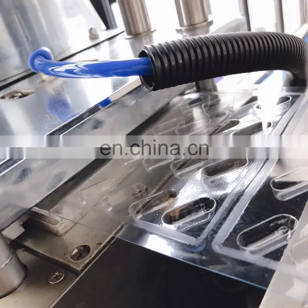 DPP140 Capsule Tablet Blister Packing Machine photo-3