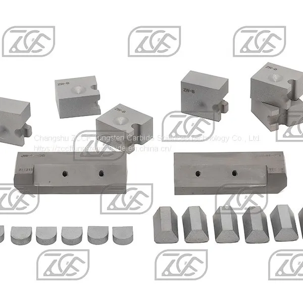 Tungsten Carbide Die photo-2