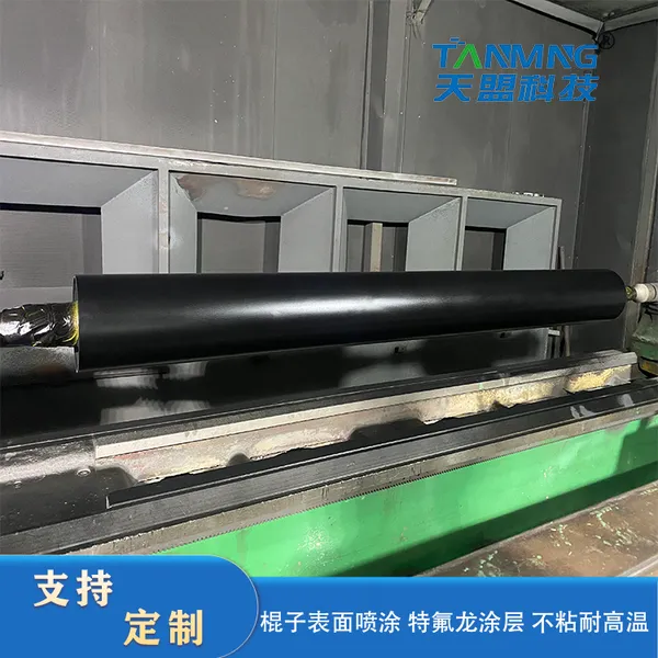The Teflon Roller photo-5