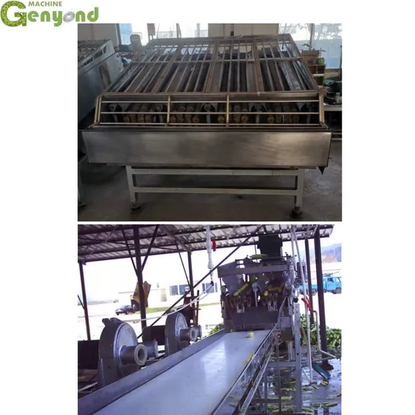 Genyond Factory Automatic Sweet Green Corn Peeling Machine With Good Service photo-3