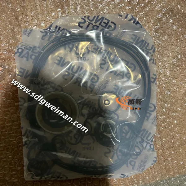 Hyundai SEAL KIT SWING MOTOR 39Q6-11700 for Hyundai Excavator R235LCR-9 photo-4