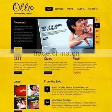 Web Designing India photo-3