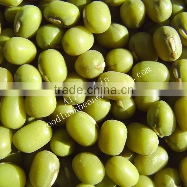 New Crop Peeled Split Green Mung Beans photo-2