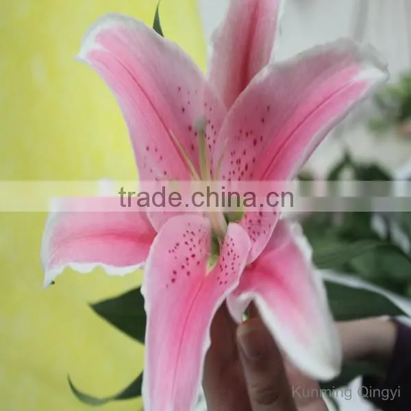 China Oriental Lily Flower Wholesale Fresh Cut Flowers photo-3