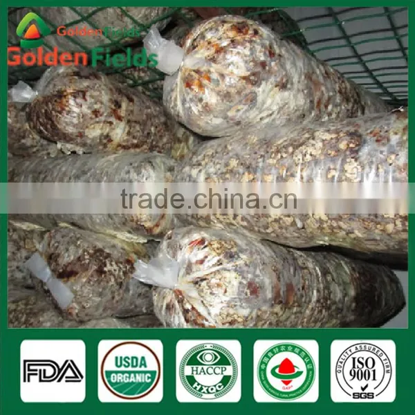 Shiitake Mushroom Fresh Health Food Shiitake Mushroom Whleseller photo-5