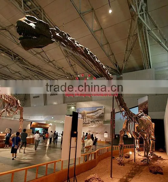 Museum Quality Fiberglass Life-size Dinosaur Skeleton Fossil Model