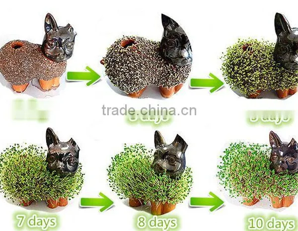 Pormo Gifts Usb Chia Pet Gifts for Newly Married Couple Wedding Thank You Gifts for Guests photo-2