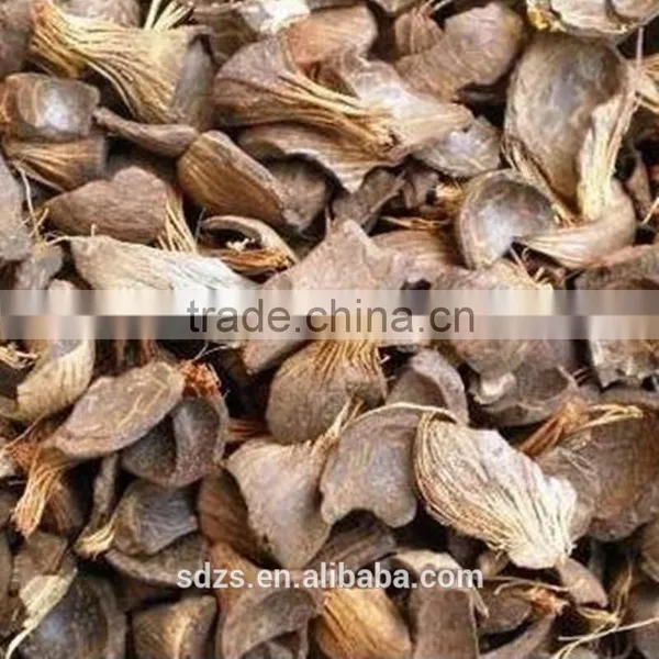 Palm Oil Kernel Shell is Good Biofuel